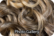 Photo Gallery